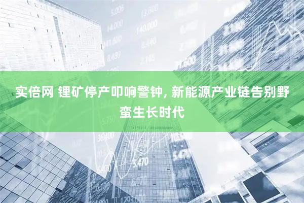实倍网 锂矿停产叩响警钟, 新能源产业链告别野蛮生长时代