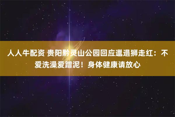 人人牛配资 贵阳黔灵山公园回应邋遢狮走红：不爱洗澡爱蹭泥！身体健康请放心
