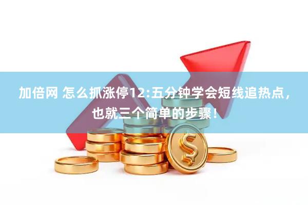 加倍网 怎么抓涨停12:五分钟学会短线追热点，也就三个简单的步骤！