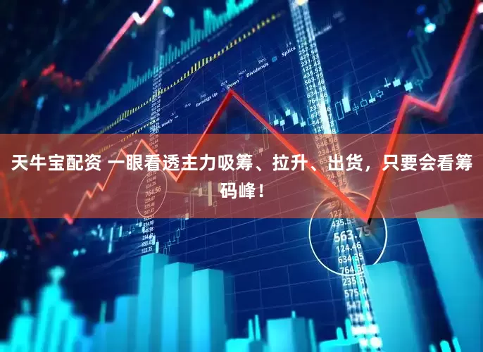 天牛宝配资 一眼看透主力吸筹、拉升、出货，只要会看筹码峰！