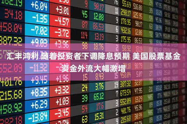 汇丰鸿利 随着投资者下调降息预期 美国股票基金资金外流大幅激增